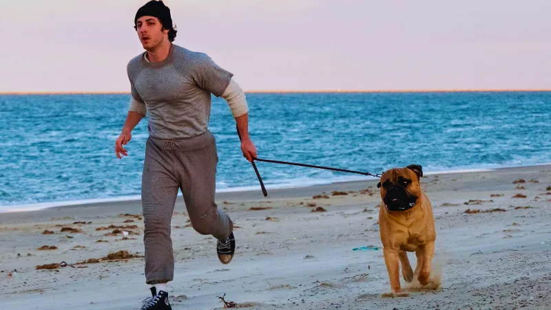 I Play Rocky: O trailer que revela como Stallone arriscou tudo